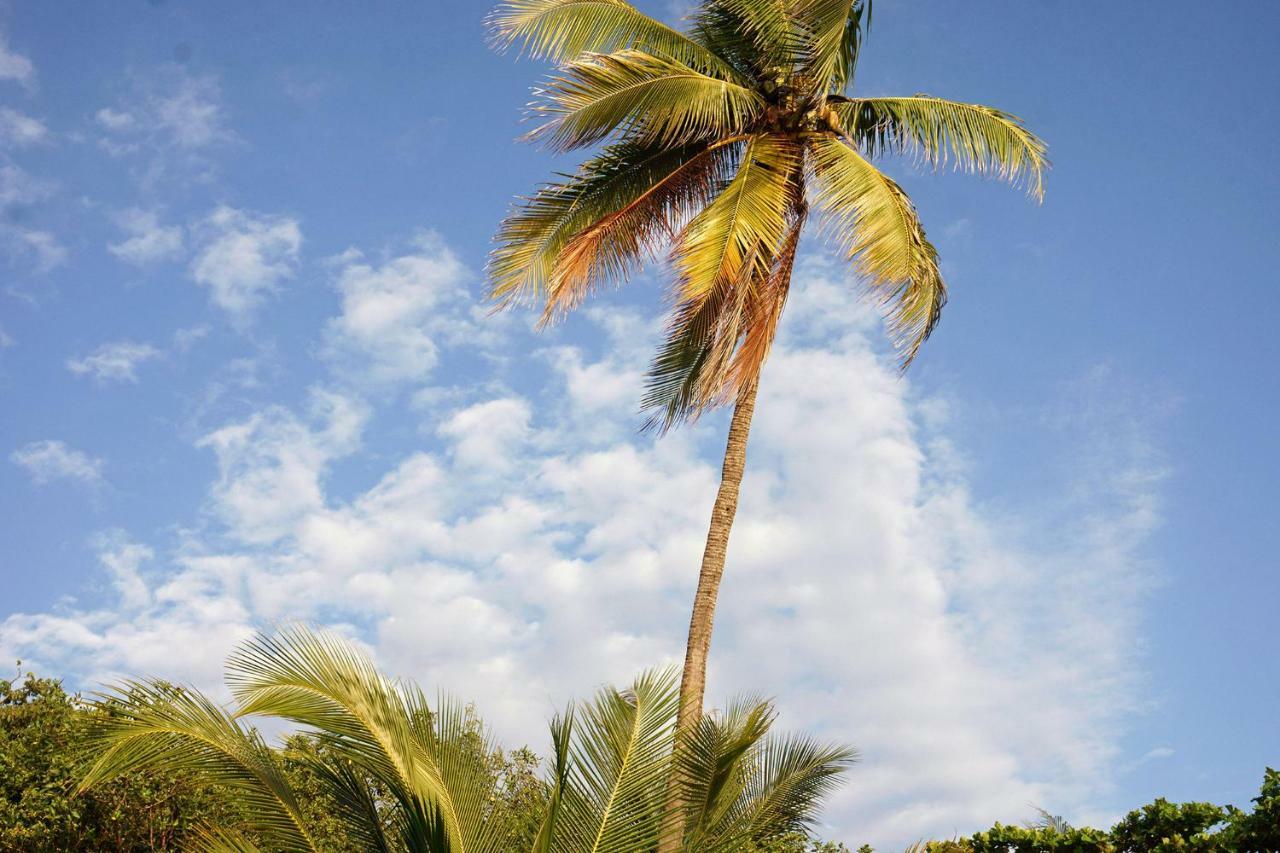 Villa Havana Malpais Exterior foto